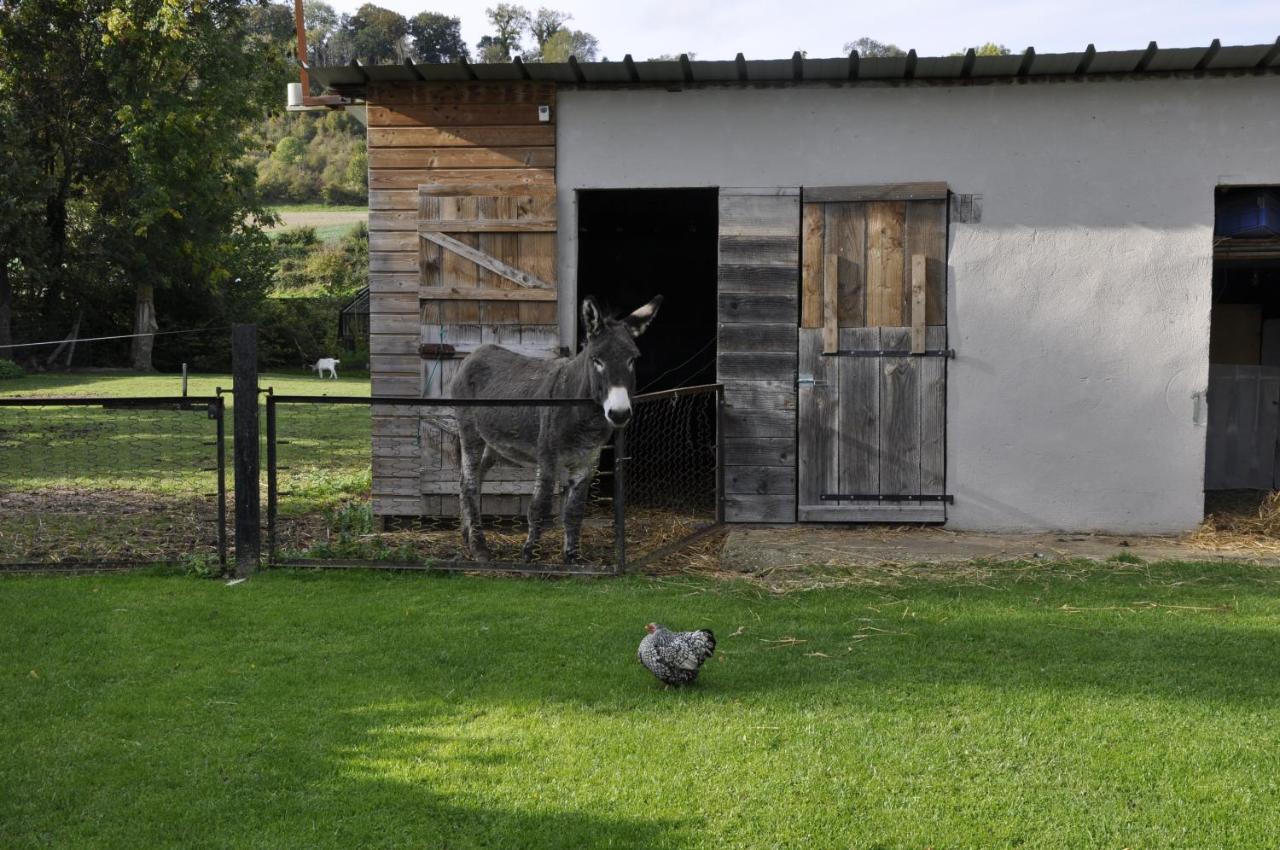 La Maison Du Bonheur "Le Gite" Saint-Ouen-sous-Bailly المظهر الخارجي الصورة
